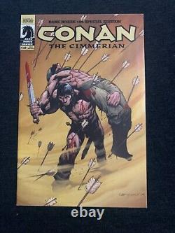 Conan The Cimmerian #19 Dark Horse 100 Special Edition RARE COLOR VARIANT /1000